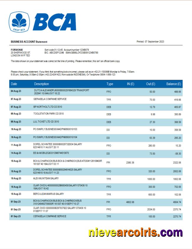 BCA Bank organization statement